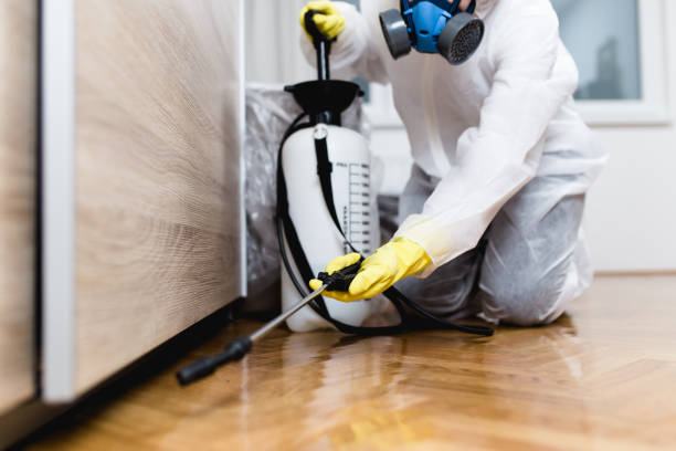 Best Pest Control Near Me in Laymantown, VA