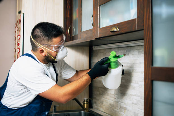 Best Affordable Pest Control Services  in Laymantown, VA