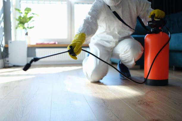 Pest Control Cost in Laymantown, VA