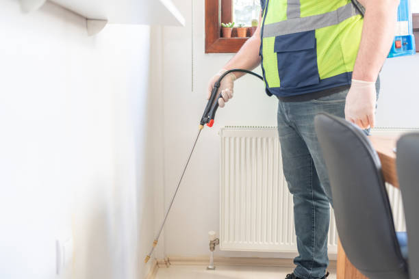 Best Affordable Pest Control Services  in Laymantown, VA