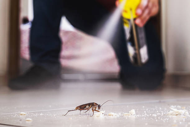 Best Emergency Pest Control  in Laymantown, VA